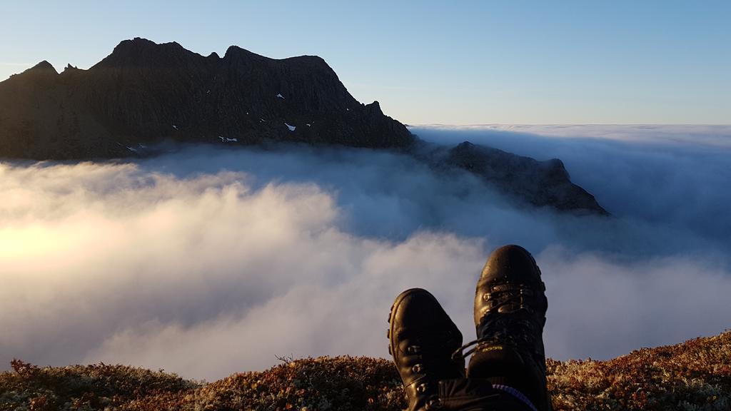 Aktiv Ferie I Vesteralen, Hovden 8475 Straumsjoen Luaran gambar